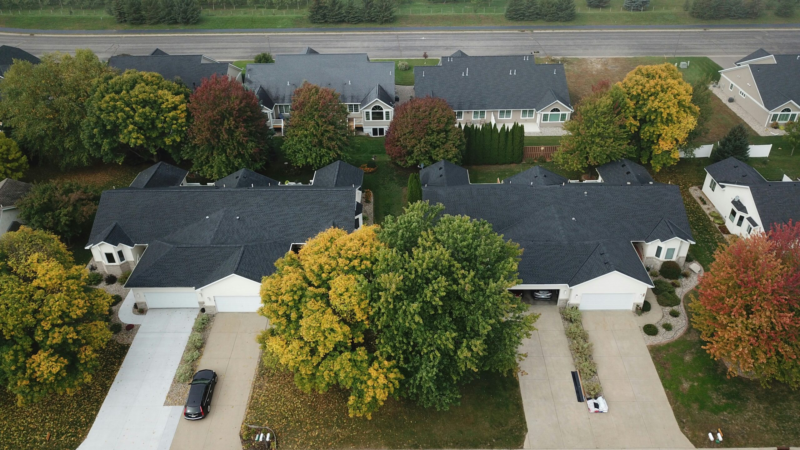 a group of houses and trees